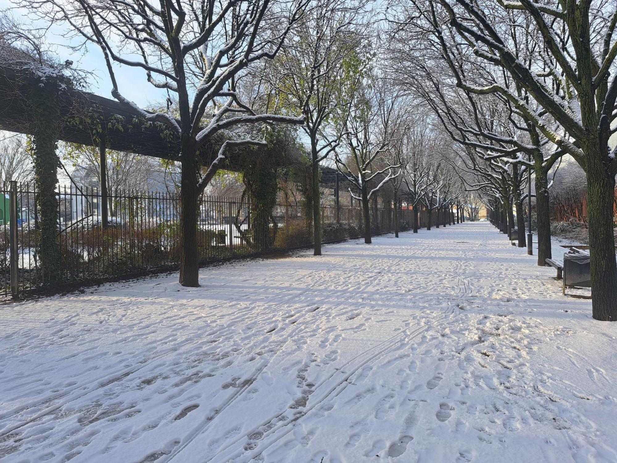Chez Daniel, Un 2 Pieces Proche De Paris Stade De France 奥贝维利埃 外观 照片
